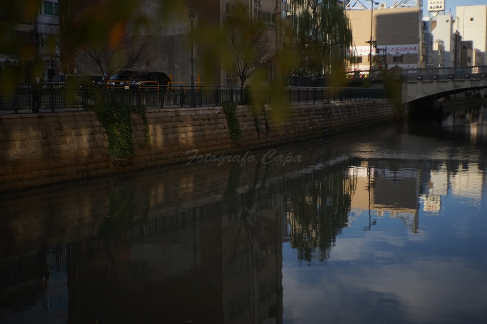 a0330864_08252851.jpg