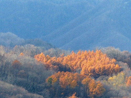 d0084473_1524411.jpg