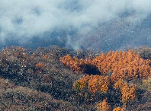 d0084473_1525550.jpg