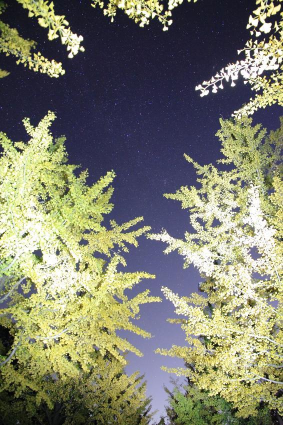 c0356480_23294981.jpg
