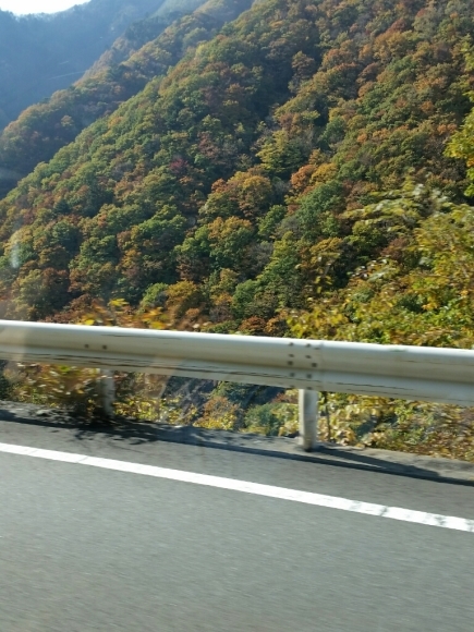 f0199881_12081495.jpg