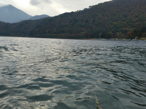f0199881_12082400.jpg