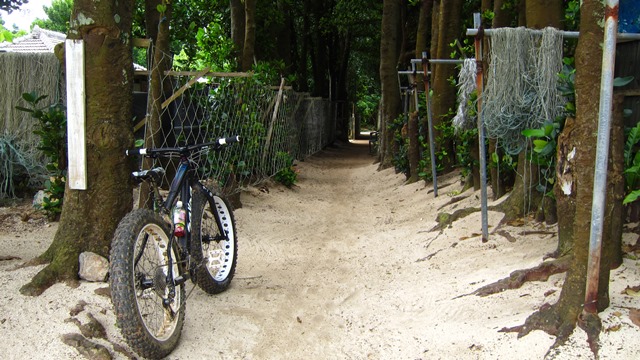 a0242984_23515170.jpg