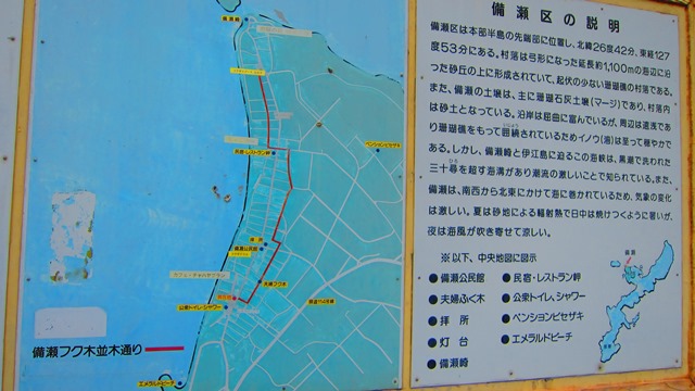 a0242984_23534545.jpg