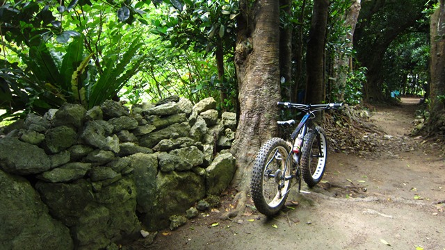 a0242984_2355729.jpg