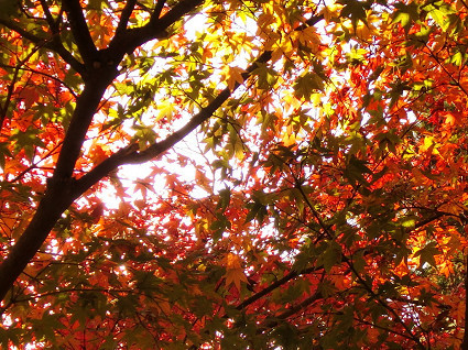 f0345284_20090752.jpg
