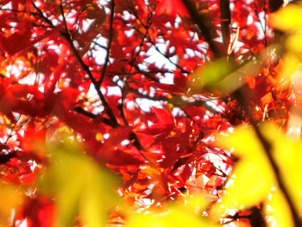 f0345284_20091011.jpg
