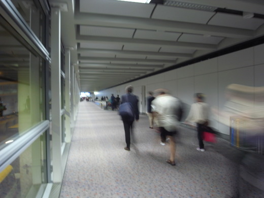 b0003089_13561956.jpg
