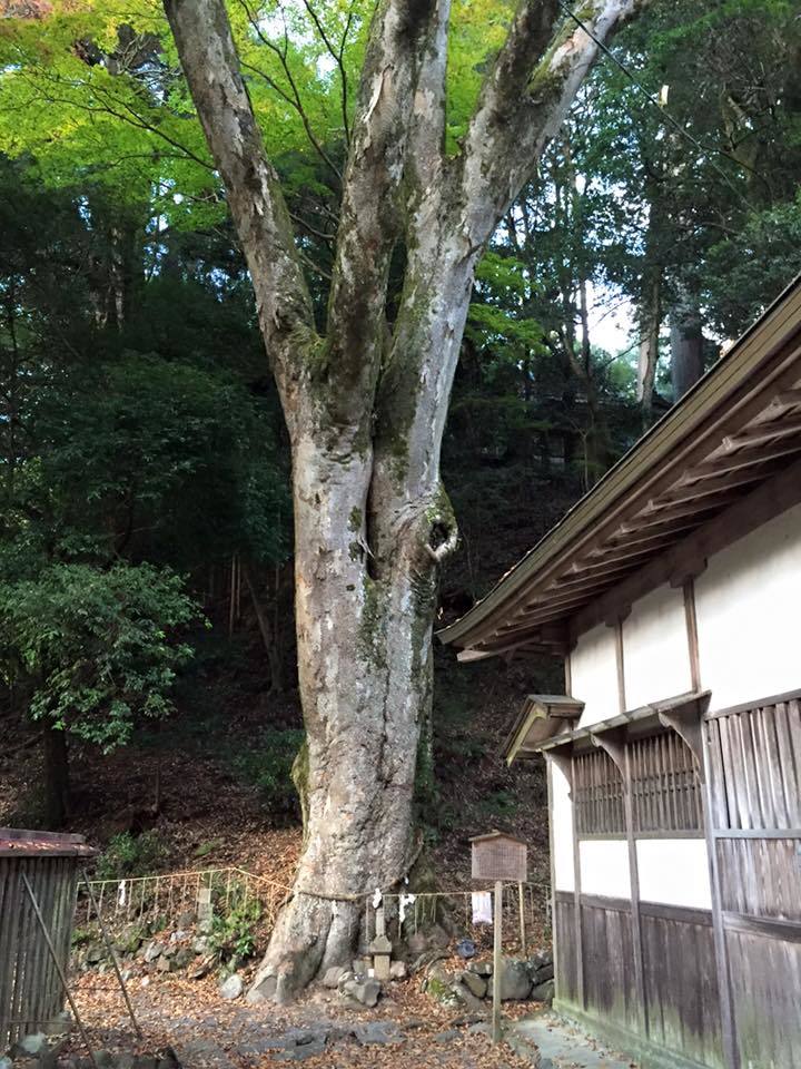 e0233191_18225716.jpg