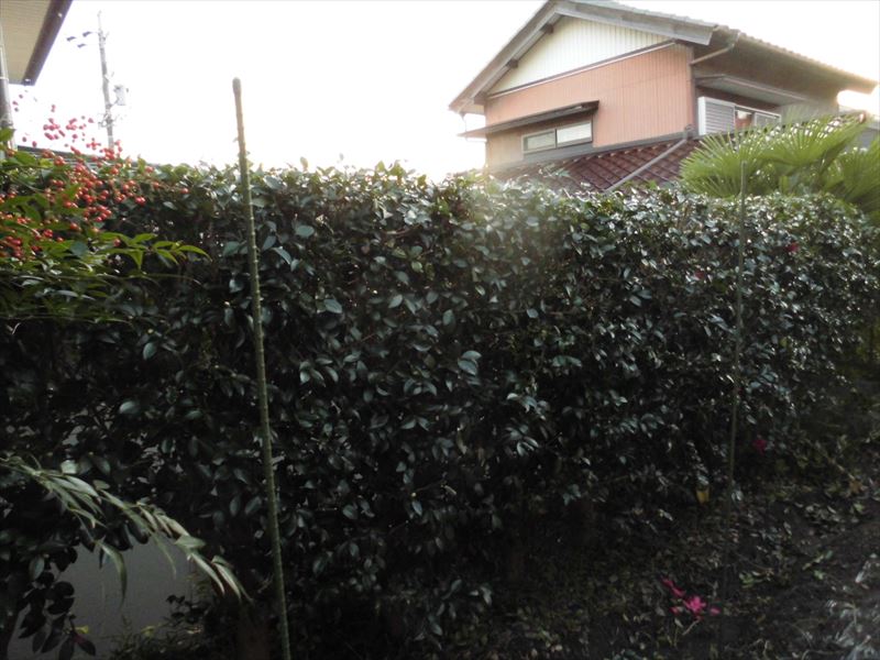 c0108198_1746431.jpg