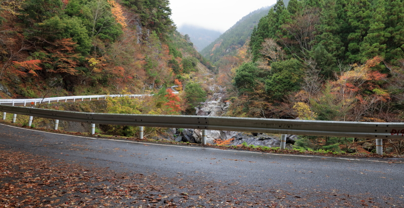 c0278800_833950.jpg