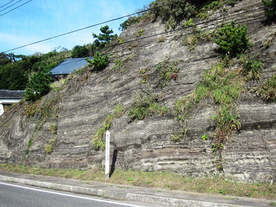 e0245404_11553692.jpg