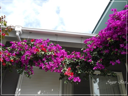 b0289710_05230097.jpg
