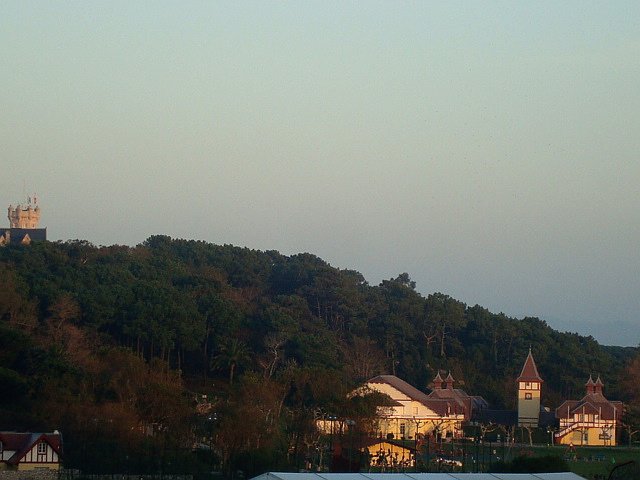 a0019022_582261.jpg