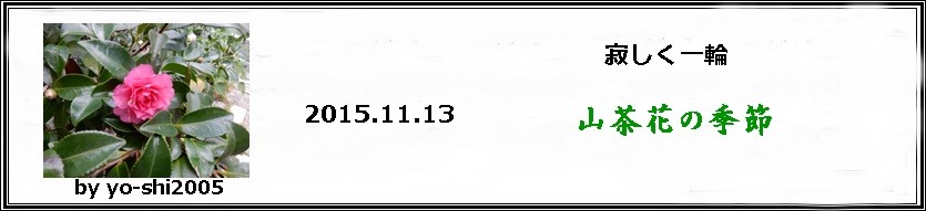 e0033229_20123474.jpg
