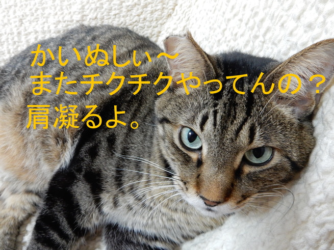 f0247039_12583836.jpg