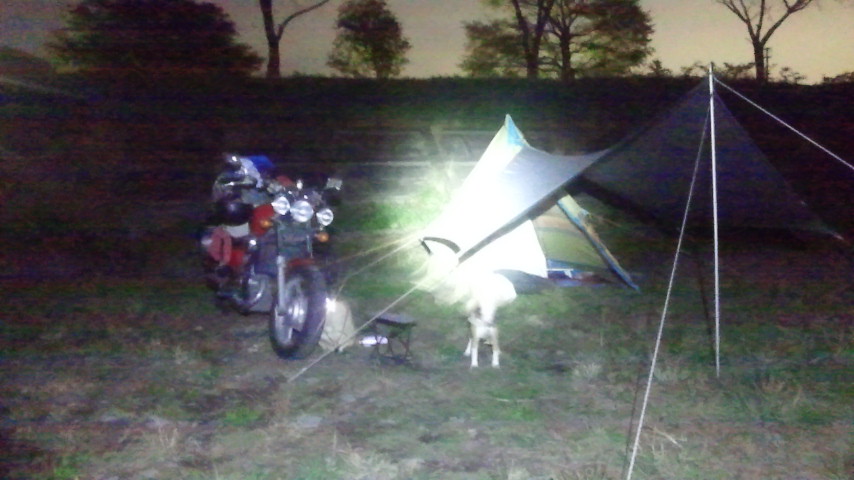 f0046250_1364796.jpg
