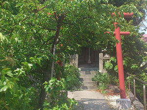 a0057057_2036365.png