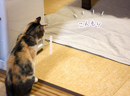 a0119470_213637.jpg