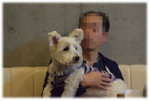 b0242873_13132817.png