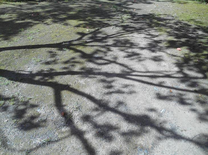 c0198781_1047845.jpg