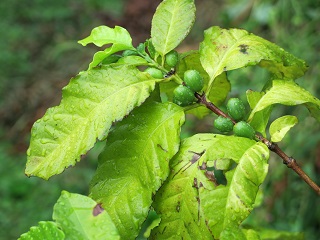 e0130185_171599.jpg