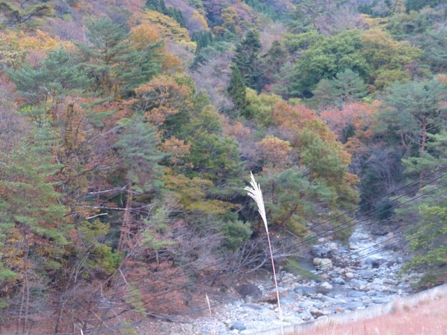 f0357487_2383914.jpg