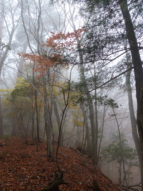 f0357487_3202962.jpg