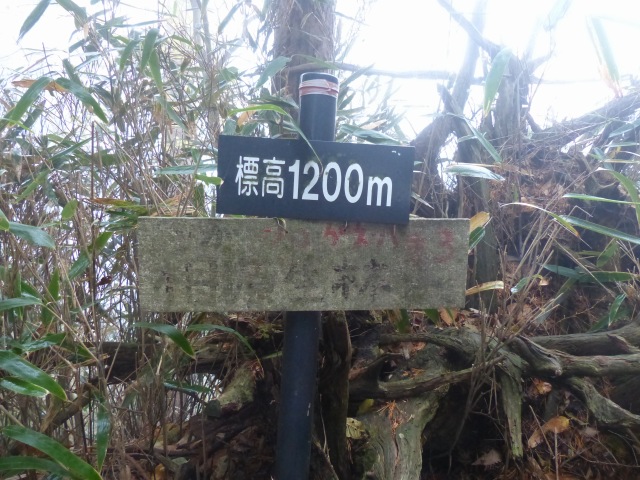 f0357487_3261053.jpg