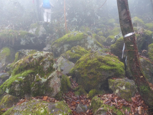 f0357487_3344544.jpg