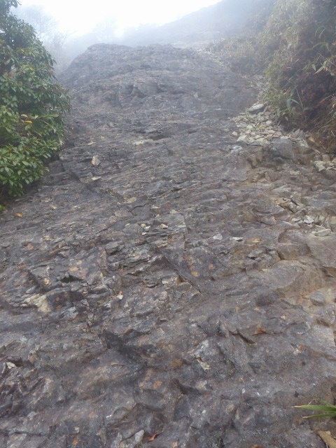 f0357487_3492144.jpg