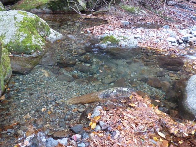 f0357487_35215.jpg