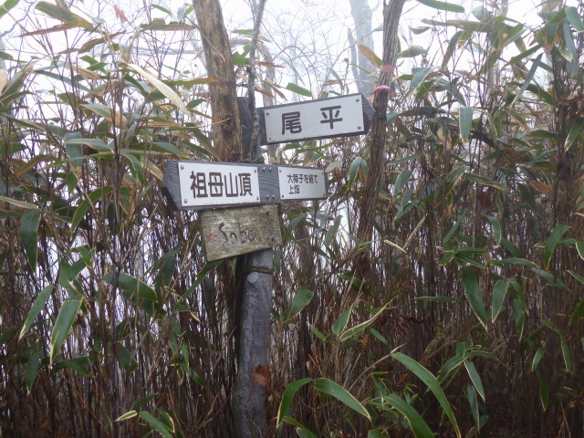 f0357487_4155339.jpg