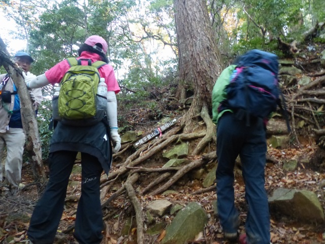 f0357487_416813.jpg
