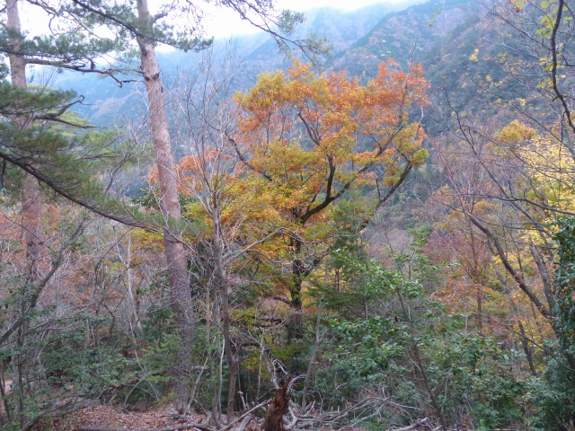 f0357487_417554.jpg