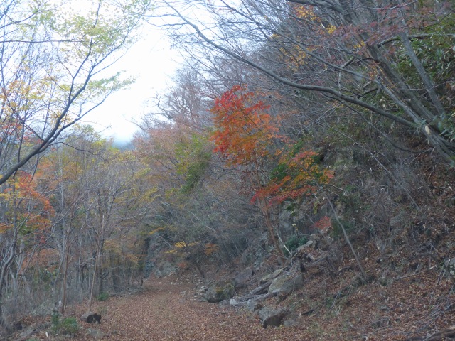 f0357487_4351637.jpg