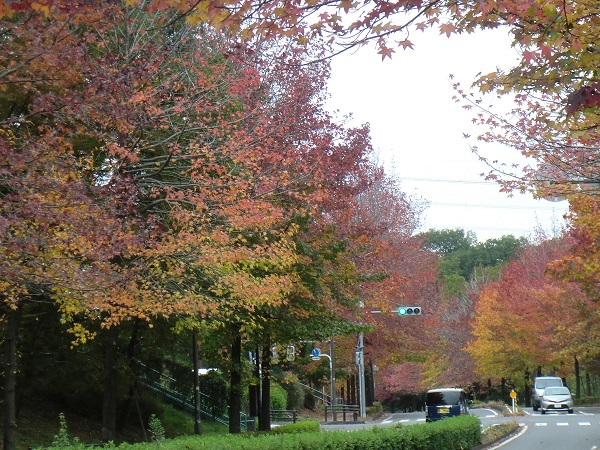 e0023790_22123469.jpg