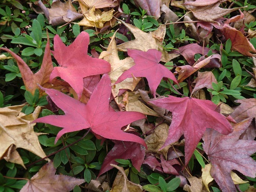 e0023790_22131474.jpg