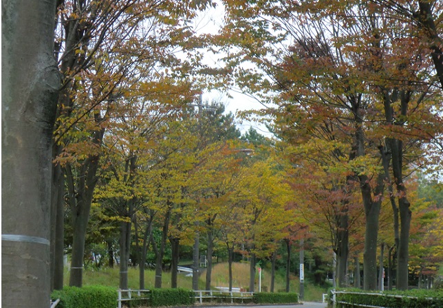 e0023790_2216810.jpg