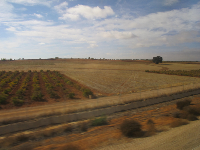 e0351091_232233.jpg