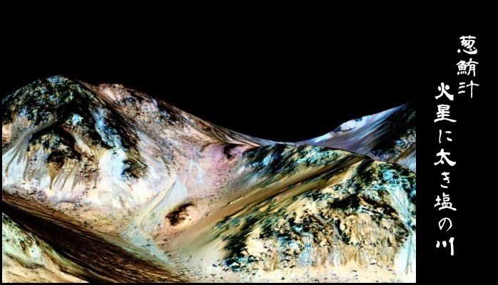 f0053297_14564439.jpg
