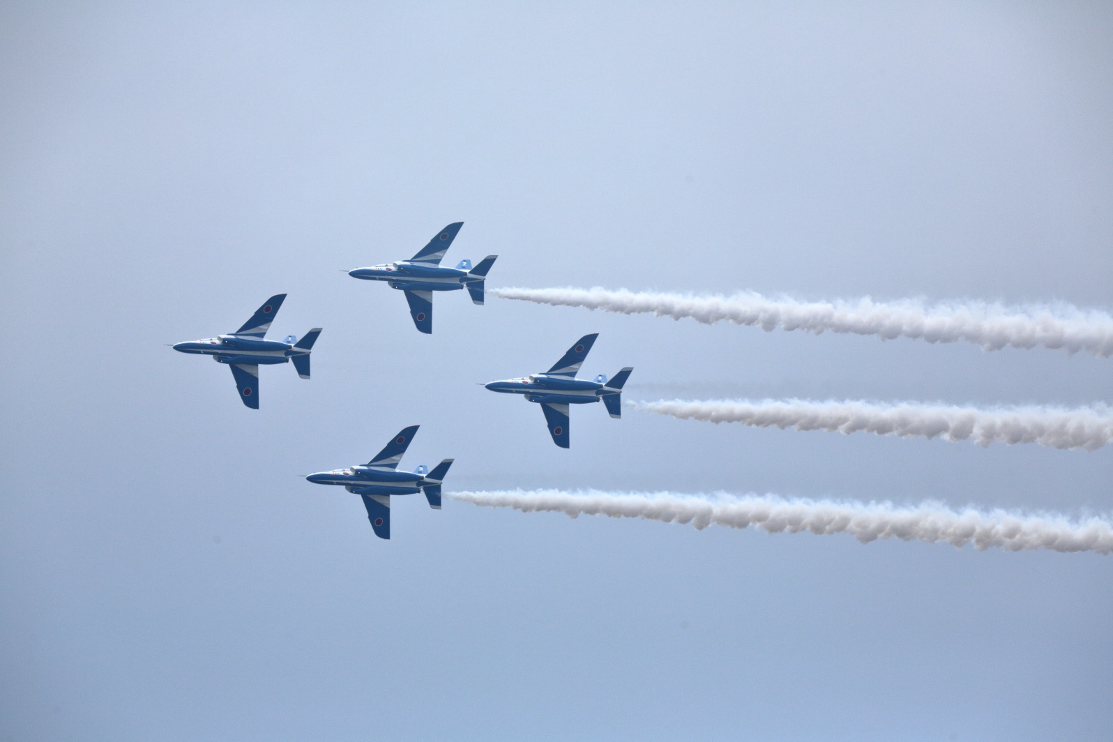 a0155104_5443426.jpg