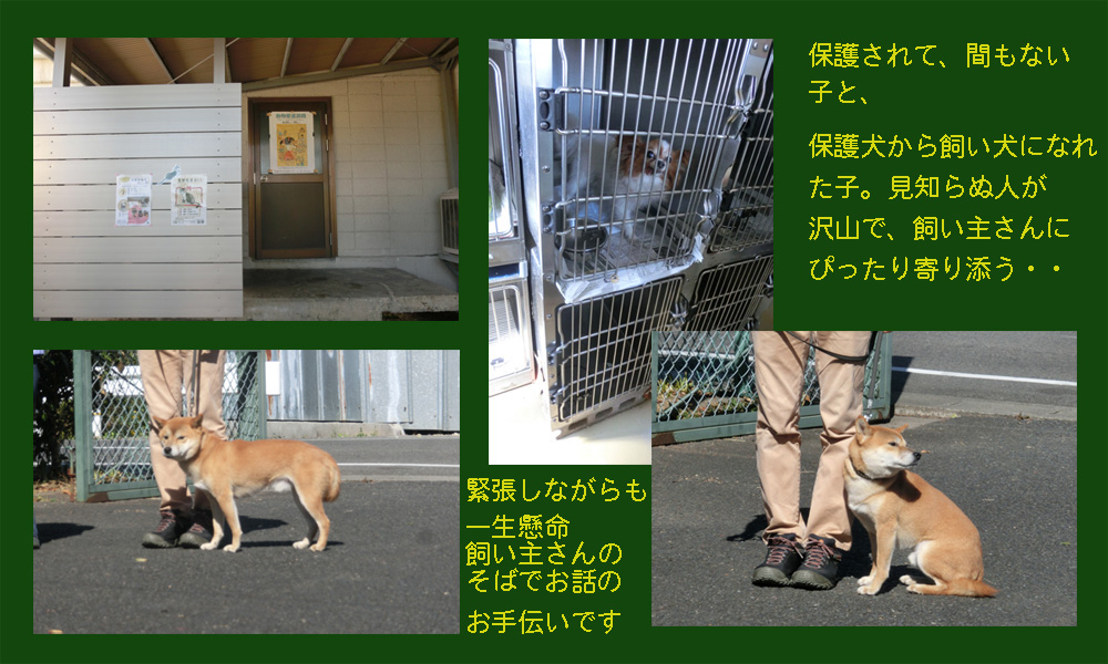 a0249004_23201410.jpg