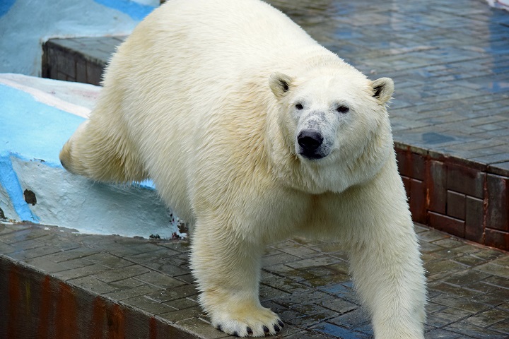 a0151913_182398.jpg