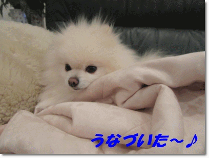b0167519_15233730.gif