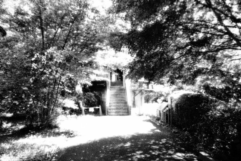 c0109827_1672715.jpg