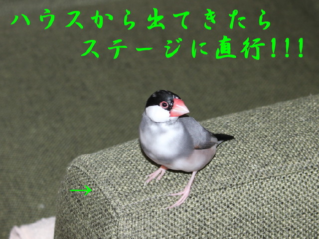 c0365734_22381162.jpg