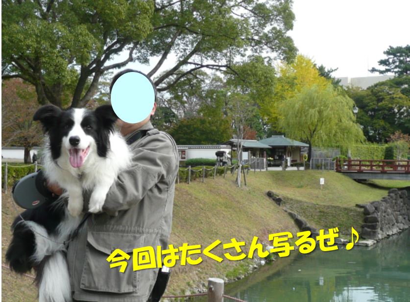 c0147241_19124172.jpg