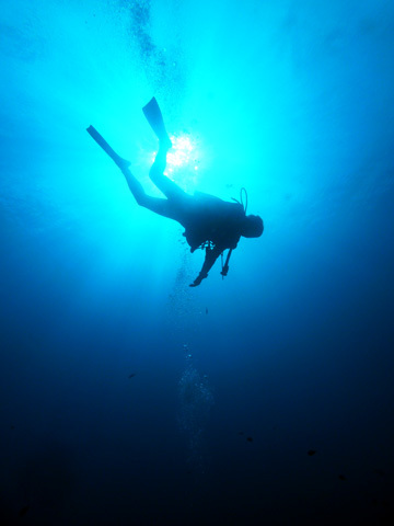 f0014842_15322739.jpg
