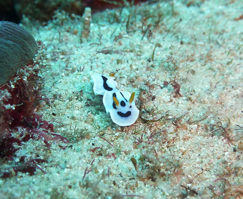 f0014842_15352142.jpg